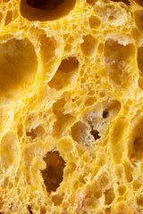 Lievitato Natalizio all’olio d’oliva, albicocca, mandorle e vaniglia del Madagascar