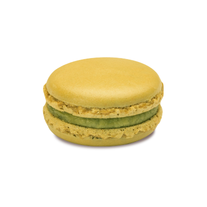 PISTACCHIO